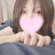 ヒメ日記 2025/07/25 13:17 投稿 ミア(奥方) 奥様幕府