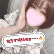 ヒメ日記 2025/08/12 07:07 投稿 ミア(奥方) 奥様幕府