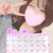 ヒメ日記 2025/09/14 18:07 投稿 ミア(奥方) 奥様幕府