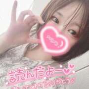 ヒメ日記 2025/09/19 10:07 投稿 ミア(奥方) 奥様幕府