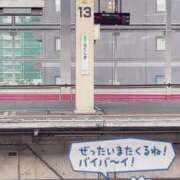 ヒメ日記 2025/09/23 18:57 投稿 ミア(奥方) 奥様幕府