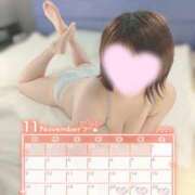 ヒメ日記 2025/11/18 20:27 投稿 ミア(奥方) 奥様幕府