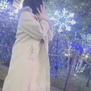 ヒメ日記 2025/11/19 19:10 投稿 ミア(奥方) 奥様幕府