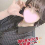 ヒメ日記 2025/11/21 23:58 投稿 ミア(奥方) 奥様幕府