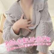 ヒメ日記 2025/11/22 12:07 投稿 ミア(奥方) 奥様幕府