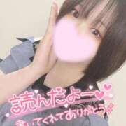 ヒメ日記 2025/11/23 12:17 投稿 ミア(奥方) 奥様幕府