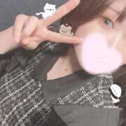 ヒメ日記 2025/11/25 18:12 投稿 ミア(奥方) 奥様幕府