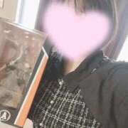 ヒメ日記 2025/11/26 14:27 投稿 ミア(奥方) 奥様幕府