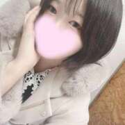 ヒメ日記 2025/11/27 13:47 投稿 ミア(奥方) 奥様幕府