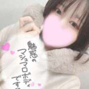 ヒメ日記 2025/11/29 15:33 投稿 ミア(奥方) 奥様幕府