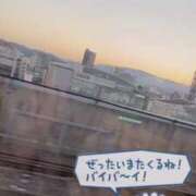 ヒメ日記 2025/12/01 08:57 投稿 ミア(奥方) 奥様幕府