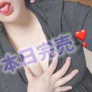 ヒメ日記 2026/01/06 20:57 投稿 ミア(奥方) 奥様幕府