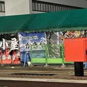 ヒメ日記 2026/01/08 10:17 投稿 ミア(奥方) 奥様幕府