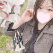 ヒメ日記 2026/04/04 11:55 投稿 ミア(奥方) 奥様幕府