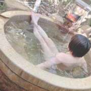 ヒメ日記 2026/04/06 07:37 投稿 ミア(奥方) 奥様幕府