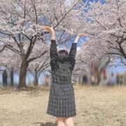 ヒメ日記 2026/04/07 01:37 投稿 ミア(奥方) 奥様幕府