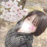 ヒメ日記 2026/04/07 14:37 投稿 ミア(奥方) 奥様幕府