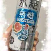 ヒメ日記 2026/04/08 02:29 投稿 ミア(奥方) 奥様幕府