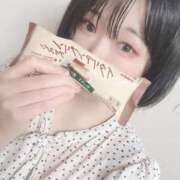ヒメ日記 2026/05/22 07:50 投稿 ミア(奥方) 奥様幕府