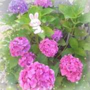 ヒメ日記 2025/06/16 18:16 投稿 椿みな-MINA- Casual Rich 5（カジュアルリッチファイブ）