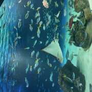 ヒメ日記 2025/04/19 20:07 投稿 みずき 大宮baton