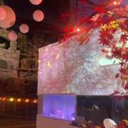 ヒメ日記 2025/09/17 13:44 投稿 みずき 大宮baton