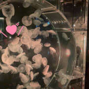 ヒメ日記 2025/09/21 15:06 投稿 みずき 大宮baton