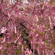 みずき 🌸🩷 ̖́- 大宮baton