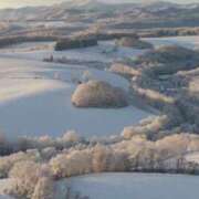 ヒメ日記 2025/12/31 20:52 投稿 一条 みゆ こあくまな熟女たち三河店（KOAKUMAグループ）