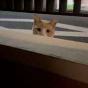 ヒメ日記 2025/08/04 11:41 投稿 黒瀬冥 Lihtways（ライトウェイズ）