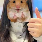 ヒメ日記 2025/02/13 17:24 投稿 うるる いざ候 別館