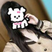 ヒメ日記 2025/04/10 22:16 投稿 うるる いざ候 別館