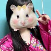 ヒメ日記 2025/04/25 11:26 投稿 うるる いざ候 別館