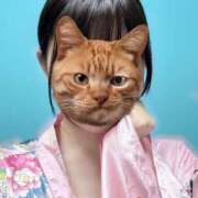 ヒメ日記 2025/05/12 11:14 投稿 うるる いざ候 別館