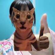 ヒメ日記 2025/05/12 16:24 投稿 うるる いざ候 別館