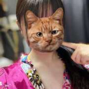 ヒメ日記 2025/05/18 11:05 投稿 うるる いざ候 別館