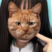 ヒメ日記 2025/06/09 18:14 投稿 うるる いざ候 別館