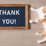 ヒメ日記 2025/03/09 11:42 投稿 みか 素人ぶっかけ〇〇取手店