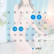 ヒメ日記 2025/04/17 10:01 投稿 のあ CECIL