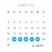 ヒメ日記 2025/11/23 03:27 投稿 のあ CECIL
