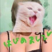 ヒメ日記 2025/01/30 18:02 投稿 みこと 激安ドットコム