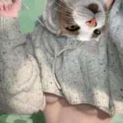 ヒメ日記 2025/02/05 18:00 投稿 みこと 激安ドットコム