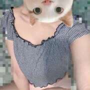 ヒメ日記 2025/02/06 14:30 投稿 みこと 激安ドットコム