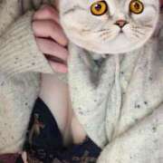 ヒメ日記 2025/02/11 08:15 投稿 みこと 激安ドットコム