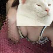 ヒメ日記 2025/02/11 23:01 投稿 みこと 激安ドットコム