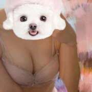 ヒメ日記 2025/02/25 13:45 投稿 みこと 激安ドットコム