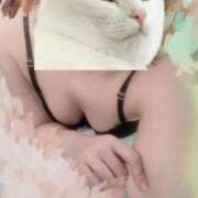 ヒメ日記 2025/03/26 12:34 投稿 みこと 激安ドットコム