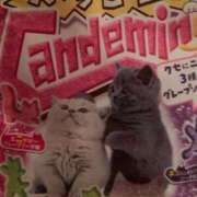 ヒメ日記 2025/03/30 17:00 投稿 みこと 激安ドットコム