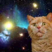 ヒメ日記 2025/04/01 05:00 投稿 みこと 激安ドットコム