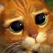 ヒメ日記 2025/04/06 07:30 投稿 みこと 激安ドットコム